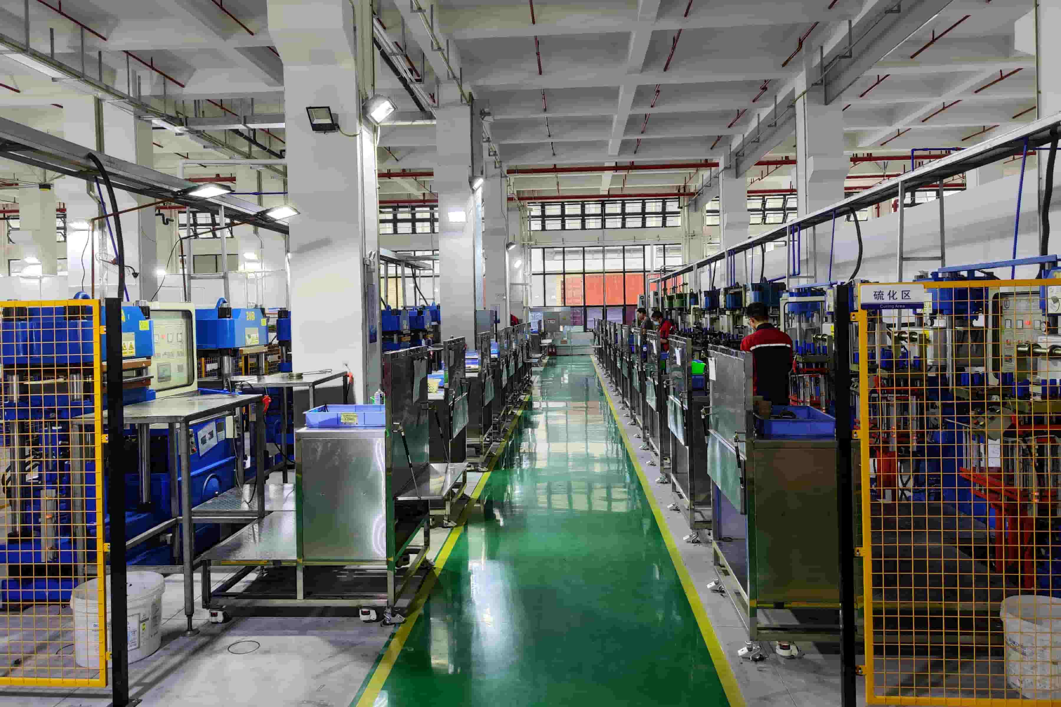 Curing & Molding Workshop